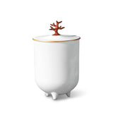 Coral Candle - L'OBJET