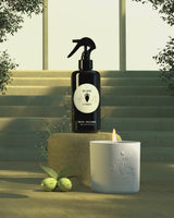 Bois Sauvage Room Spray + Candle Gift Set