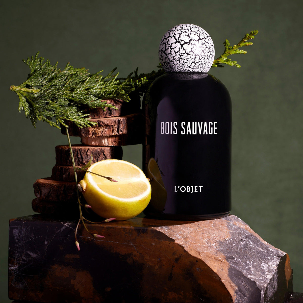 Sauvage Parfum: Refillable Citrus and Woody Fragrance | DIOR IE