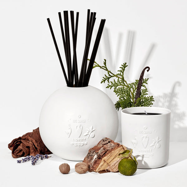 Bois Sauvage Porcelain Diffuser Set - L'OBJET