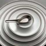 Platinum Soie Tresse dinnerware with Chinese Spoon