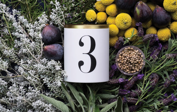 Porcelain candle vessel labeled with the number 3 on a bed of fig, laurel leaves, sage, white pepper, and lavender.