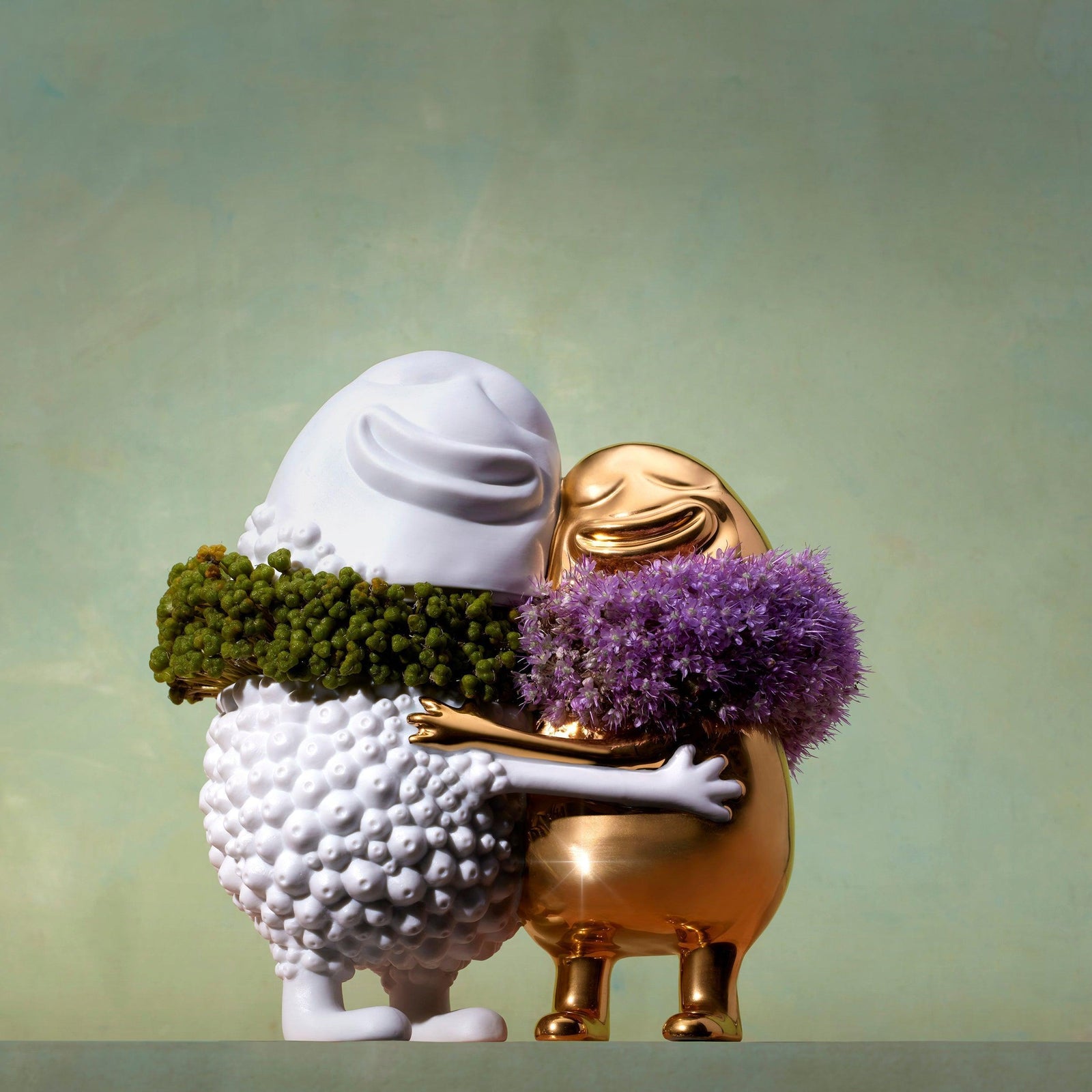 Haas Huggers Box - L'OBJET