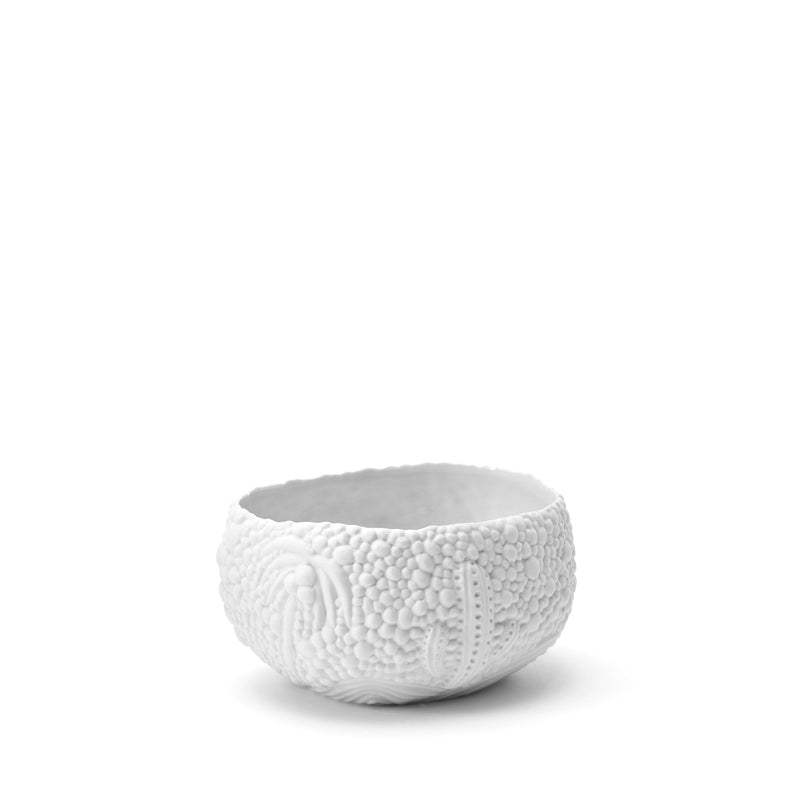 Haas Mojave Desert Bowl - L'OBJET
