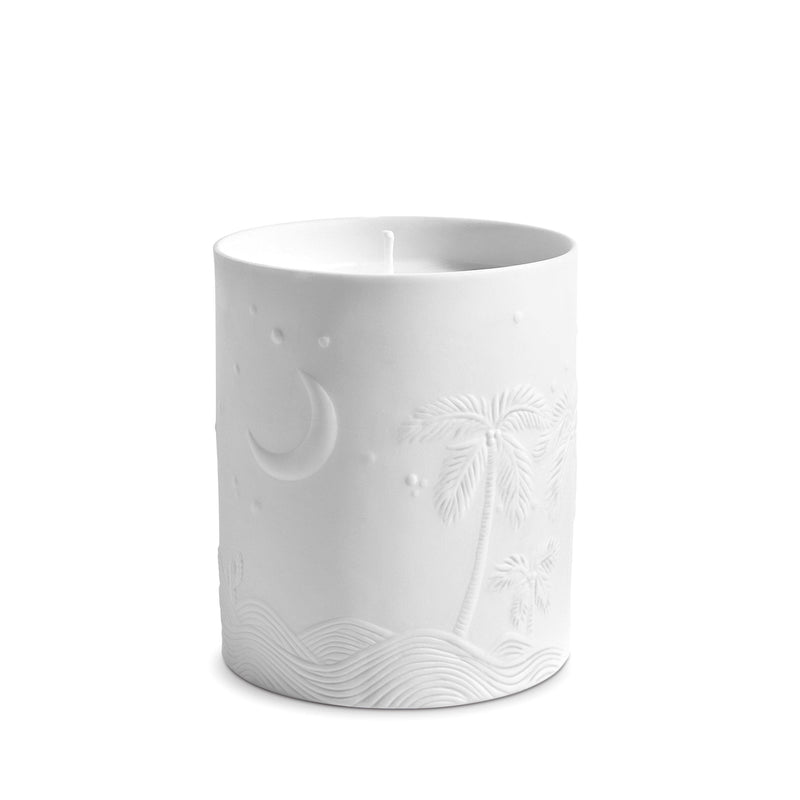 White and Gold Haas Mojave Palm Candle - Dry, Woodsy Fragrance - Translucent Porcelain Vessel