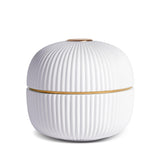 Ionic Box + Plates (Set of 4) - L'OBJET