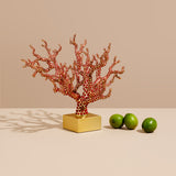 Coral Centerpiece