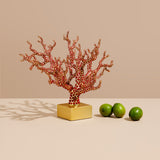 Coral Centerpiece