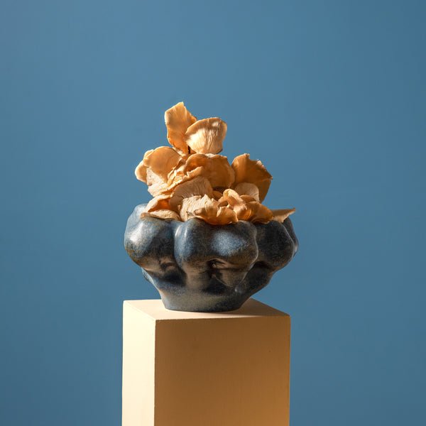 Timna Coupe Bowl - Latte