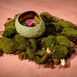 Haas Mojave Desert Bowl - Medium - Matcha + Gold