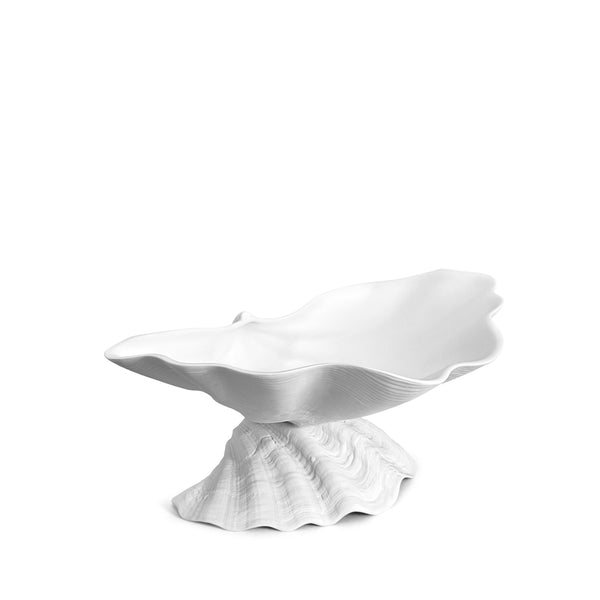 Neptune Bowl - Large. White porcelain shell-shaped bowl floating on a base. 