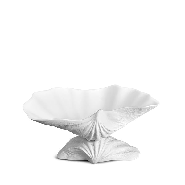 Neptune Bowl - Large. White porcelain shell-shaped bowl floating on a base. 